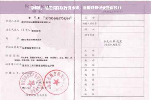 揭秘篇，彻底清除银行流水账，重塑财务记录新面貌??