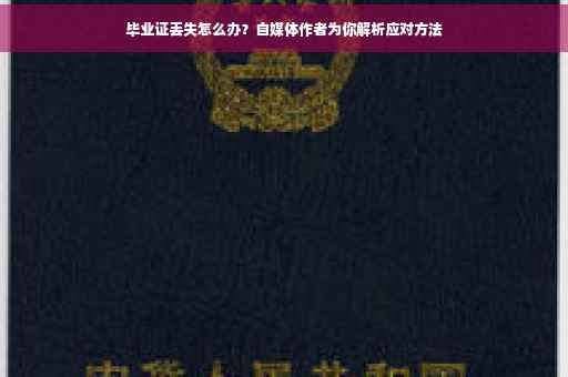 毕业证丢失怎么办？自媒体作者为你解析应对方法