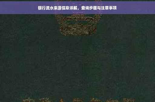 银行流水来源信息详解，查询步骤与注意事项
