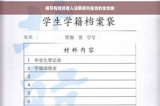 撰写有效月收入证明提升报告的全攻略
