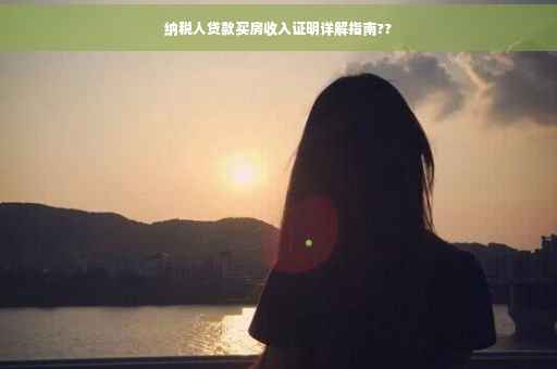 纳税人贷款买房收入证明详解指南??