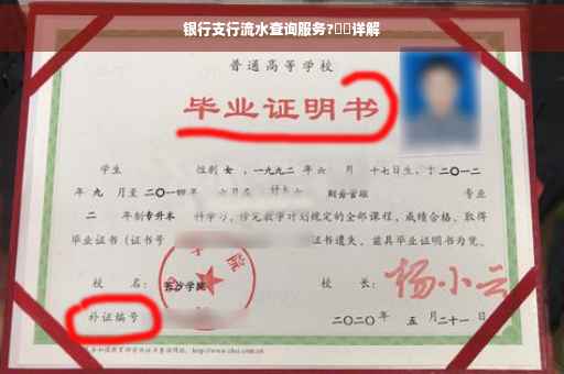 银行支行流水查询服务?⚡️详解