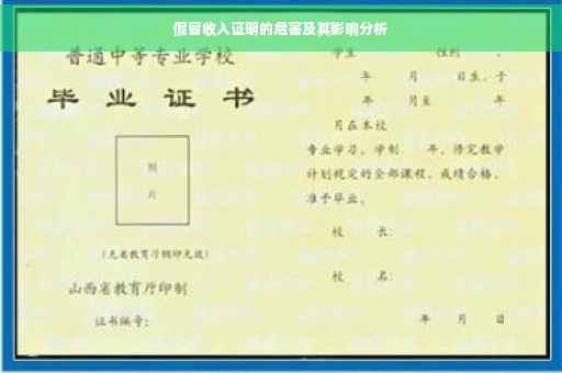 假冒收入证明的危害及其影响分析