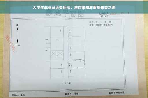 大学生毕业证丢失后续，应对策略与重塑未来之路