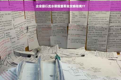 企业银行流水明细查看全攻略指南??