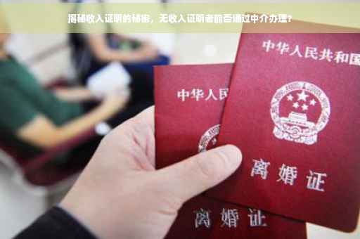 揭秘收入证明的秘密，无收入证明者能否通过中介办理？