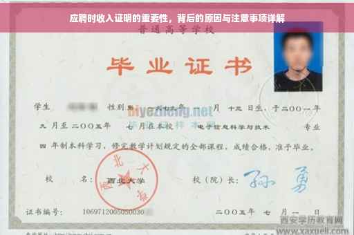 应聘时收入证明的重要性，背后的原因与注意事项详解