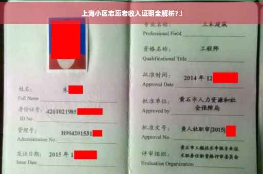 上海小区志愿者收入证明全解析?✨