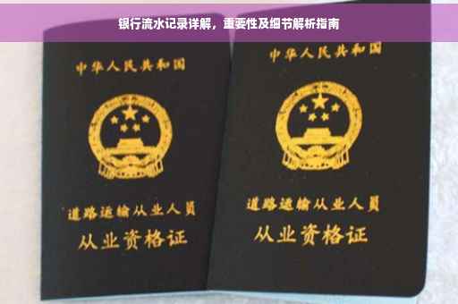 银行流水记录详解，重要性及细节解析指南