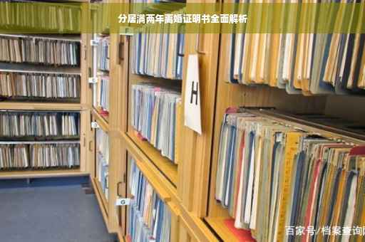 分居满两年离婚证明书全面解析