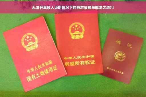 无法开具收入证明情况下的应对策略与解决之道?✨