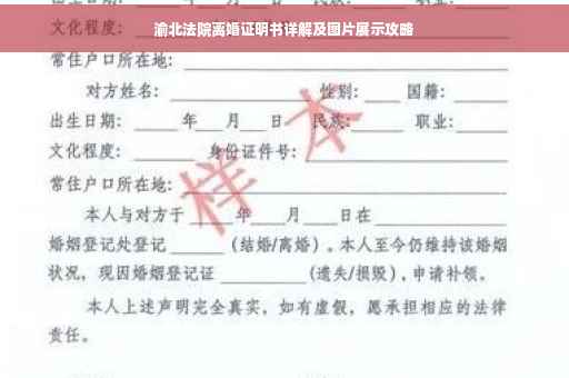 渝北法院离婚证明书详解及图片展示攻略