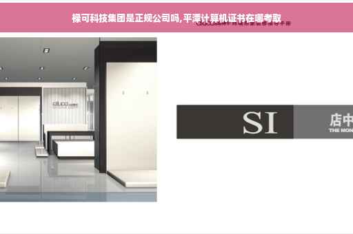 禄可科技集团是正规公司吗,平潭计算机证书在哪考取