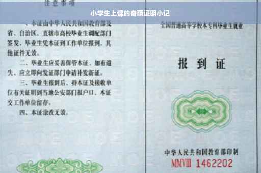 小学生上课的奇葩证明小记