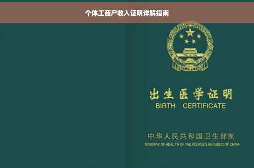 个体工商户收入证明详解指南