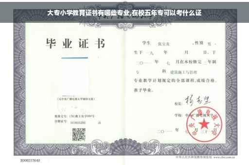 大专小学教育证书有哪些专业,在校五年专可以考什么证