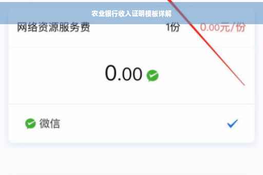 农业银行收入证明模板详解
