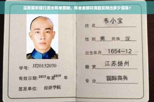 深度解析银行流水账单奥秘，账单金额究竟能反映出多少信息？