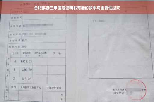 合肥滨湖三甲医院证明书背后的故事与重要性探究