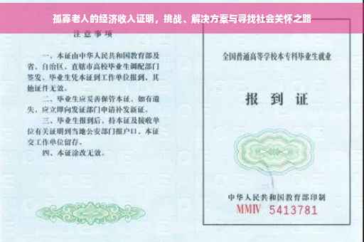孤寡老人的经济收入证明，挑战、解决方案与寻找社会关怀之路