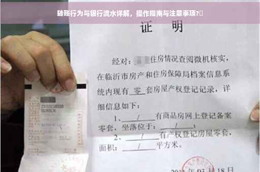 转账行为与银行流水详解，操作指南与注意事项?✨