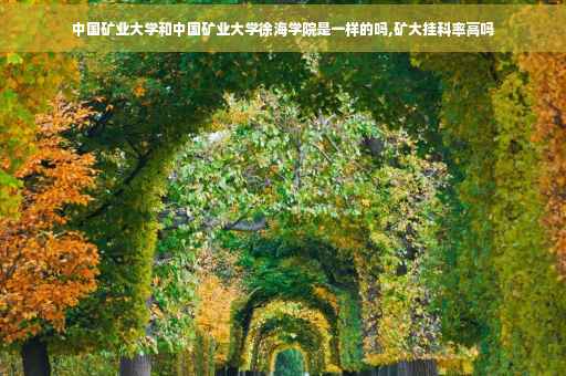 中国矿业大学和中国矿业大学徐海学院是一样的吗,矿大挂科率高吗