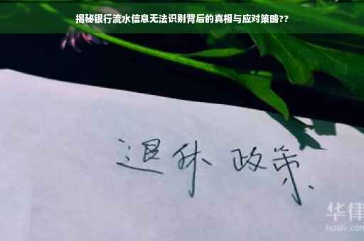 揭秘银行流水信息无法识别背后的真相与应对策略??