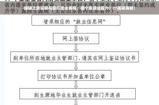 揭秘工资证明与银行流水真相，哪个更具说服力？??揭秘真相！