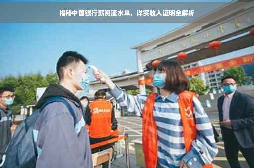 揭秘中国银行薪资流水单，详实收入证明全解析