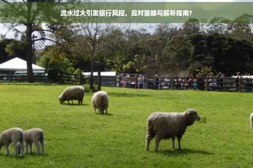 流水过大引发银行风控，应对策略与解析指南?