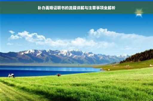 补办离婚证明书的流程详解与注意事项全解析