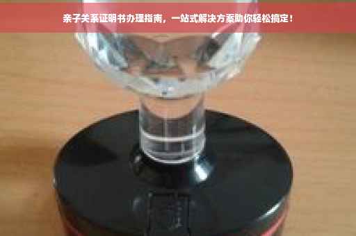亲子关系证明书办理指南，一站式解决方案助你轻松搞定！