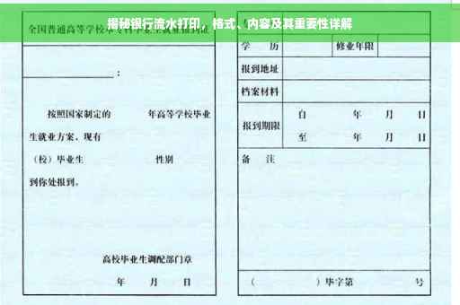揭秘银行流水打印，格式、内容及其重要性详解