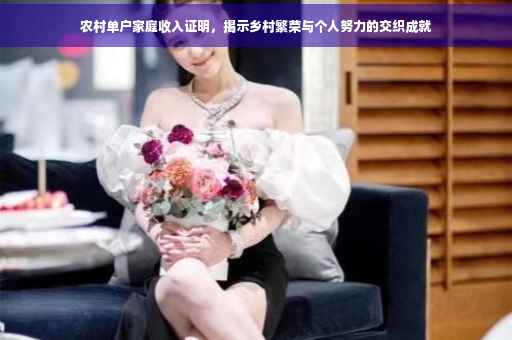 农村单户家庭收入证明，揭示乡村繁荣与个人努力的交织成就