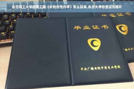 东华理工大学机械工程（中外合作办学）怎么回事,东华大学毕业证书图片