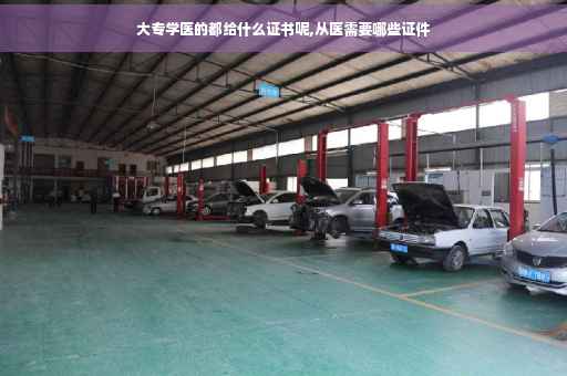 大专学医的都给什么证书呢,从医需要哪些证件