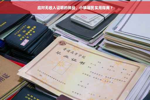 应对无收入证明的挑战，小镇居民实用指南 ?
