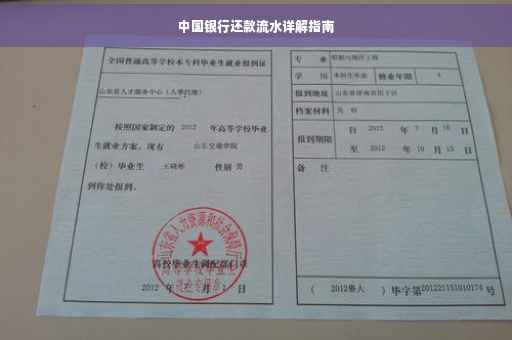 中国银行还款流水详解指南