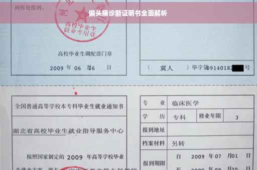 偏头痛诊断证明书全面解析