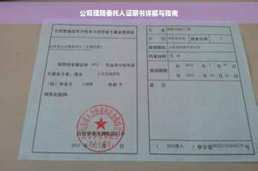 公司理赔委托人证明书详解与指南
