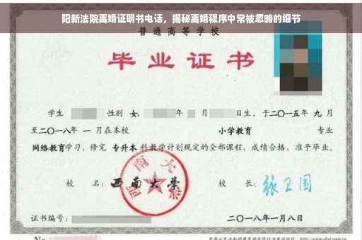 阳新法院离婚证明书电话，揭秘离婚程序中常被忽略的细节