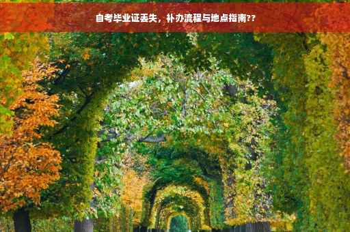 自考毕业证丢失，补办流程与地点指南??