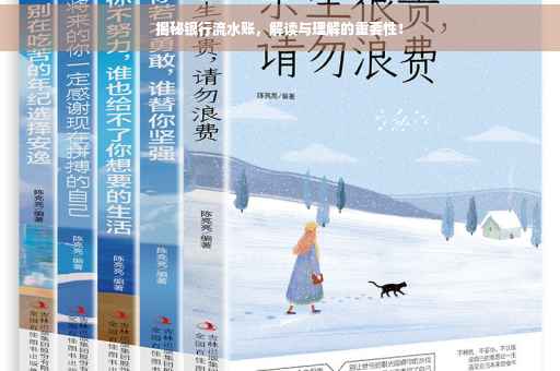 揭秘银行流水账，解读与理解的重要性！