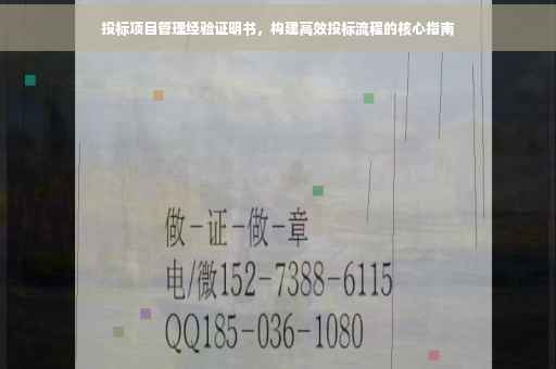 投标项目管理经验证明书，构建高效投标流程的核心指南