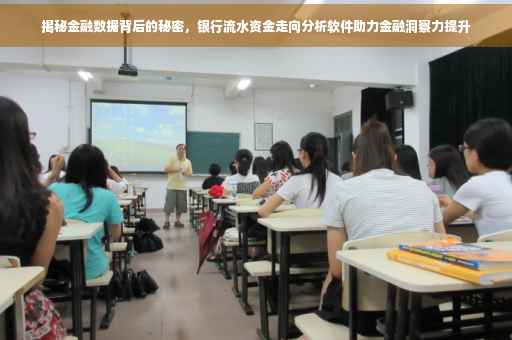 揭秘金融数据背后的秘密，银行流水资金走向分析软件助力金融洞察力提升