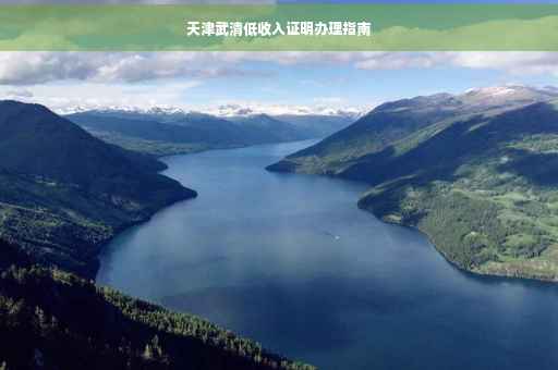 天津武清低收入证明办理指南