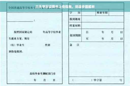 三天学历证明书上传指南，详细步骤解析