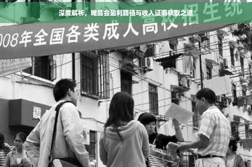 深度解析，唯品会盈利路径与收入证明获取之道