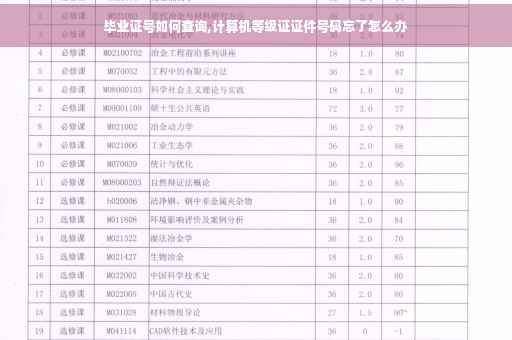 毕业证号如何查询,计算机等级证证件号码忘了怎么办