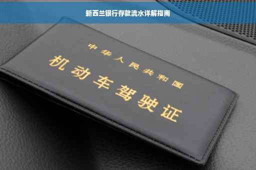 新西兰银行存款流水详解指南